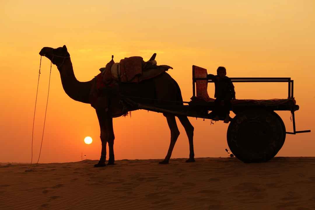 darjeeling gangtok tour